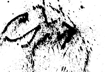 Ink grunge drops texture. Black hand drawn splashes and stains on white background.