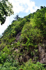 Fototapeta premium 阿寺渓谷 千畳岩