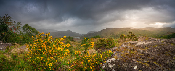 Panoramablick vom Ladies view im Killarney Nationalpark