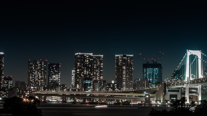 Obraz na płótnie Canvas Tokyo skyline
