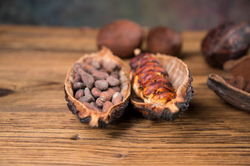 Chocolate sweet, cocoa and food dessert background