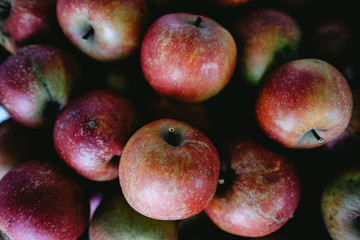 apples