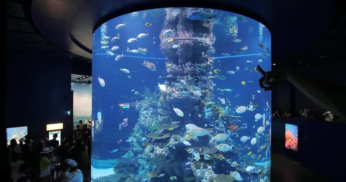 Tourism travel Aquarium in Sentosa