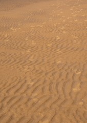 Prints and  patterns  in the  sand  on the  beach
