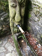 Feldberg Wasserquelle