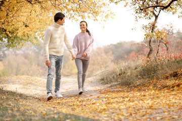 Couple in love in the autumn leaves