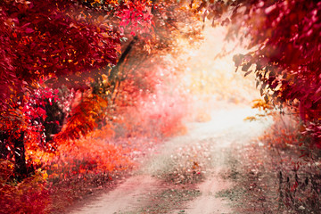 landscape wild red The concept of fantasy for background or poster