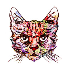 графическая татуировка  кота