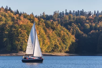 Door stickers Sailing Autumnal landscape with one sailboat sailing on the lake surrounded by hill grown with forest trees on a sunny day