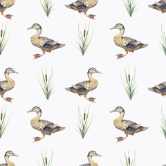 Seamless pattern with watercolor wild ducks and plants