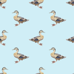 Seamless pattern with watercolor wild ducks