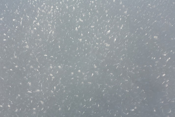 Snow surface with crystalline snowflake