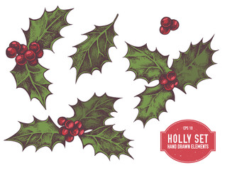 Vector collection of hand drawn holly