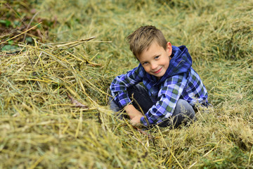 Naklejka na ściany i meble Im a farm boy. Little boy in barn on farm. Little boy enjoy village farm holidays. Small child relax in hayloft. A farm sounds so nice and peaceful