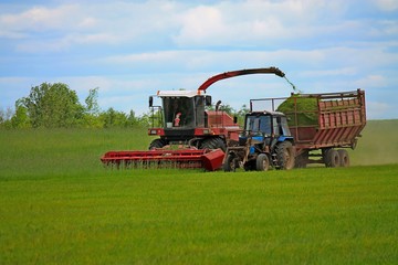 harvester travels across the field and harvest the grain next to the tractor and unloads green mass for feeding animals