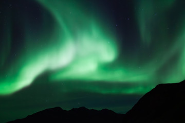 Amazing Aurora Borealis in North Norway (Grotfjord), mountains and sea in the background