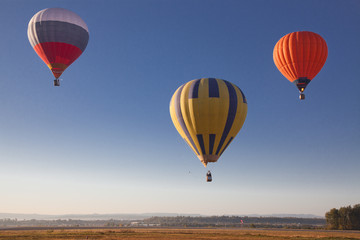 hot air balloons - freedom and adventure concept