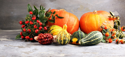 Diverse assortment of pumpkins on a stone background. Autumn harvest