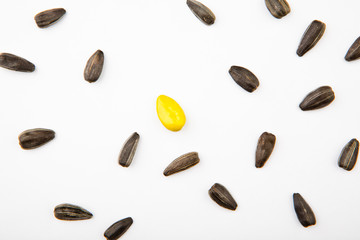 sunflower seeds one yellow 