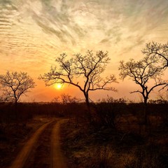 Fototapeta na wymiar afrique coucher de soleil