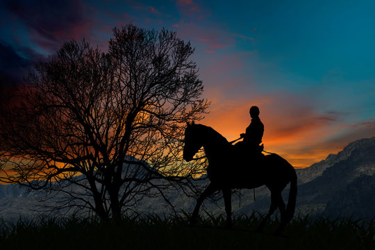 Silhouette of a horseman mounted on horseback next to a tree at sunset