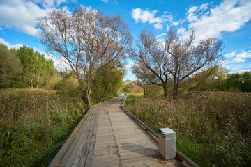 Wooden walkway in Moscow