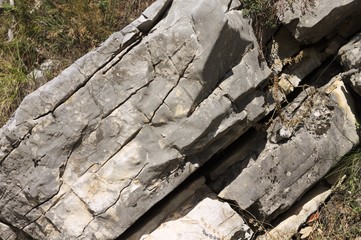 Isolated rock background (Marche, Italy, Europe)