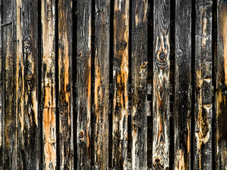 Obraz premium old fence boards black and gold