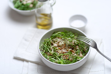 A plate of micro-green salad. Vegetarianism. Healthy diet