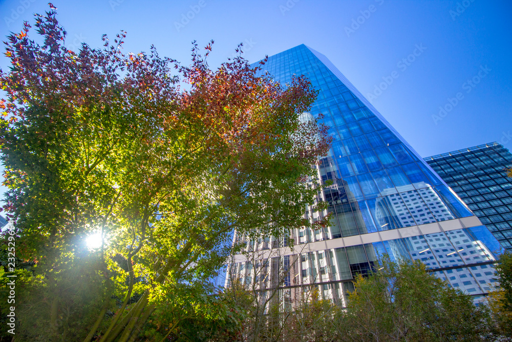 Wall mural abstract cityscape reflections