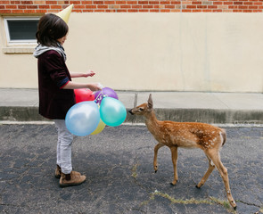 A young boy meets a baby deer