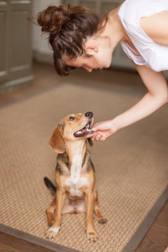 Young woman bends down to cuddle a dog looking at her in adoration