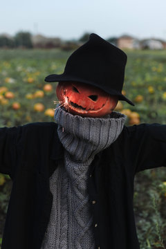 Halloween scarecrow with sparkling light