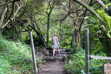 Naklejka na ściany i meble Woman Hiking on Tropic Forest Trail (Haleakala National Park) in Maui, Hawaii