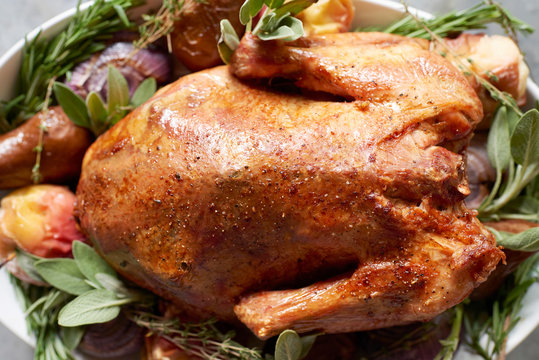 Thanksgiving Turkey Dinner