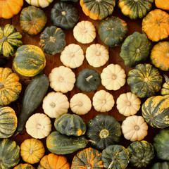 alphabet, letter a, pumpkin, food