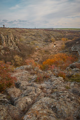 panoramic view of canyon