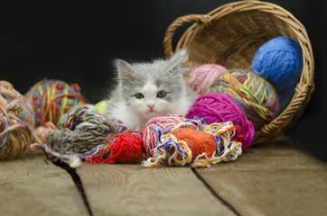 Cute kitten with ball of yarn on black background.