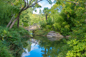 river and wood bridge at forest