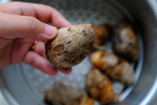 Take the taro in the hand