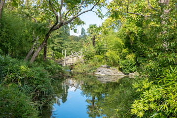 Obraz na płótnie Canvas river and wood bridge at forest
