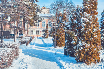 House in a snowy park