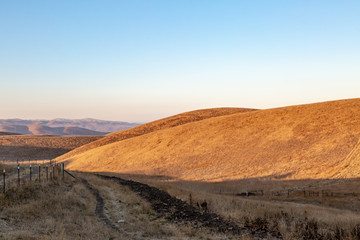 A dry Californian landscape early on a sunny morning