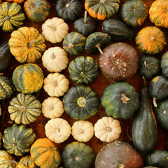 alphabet, letter l, pumpkin, food