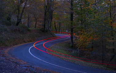 Car lights at night crossing in forest in autumn, Aiako Harriak natural park, Euskadi