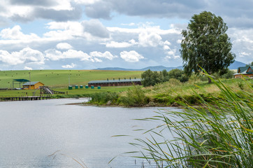 On the shore of the steppe lake