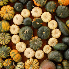 alphabet, letter o, pumpkin, food