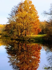 Herbstlandschaft am See mit leuchtenden Herbstfarben