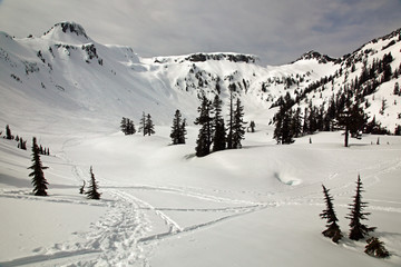 Back country skiing and snow shoeing tracks and prints in the Cascades by Mt Baker, Washington, USA