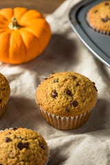 Sweet Homemade Chocolate Pumpkin Muffins